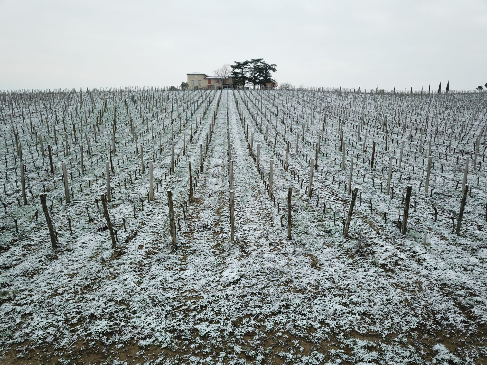 Vignerons de Père en Fils