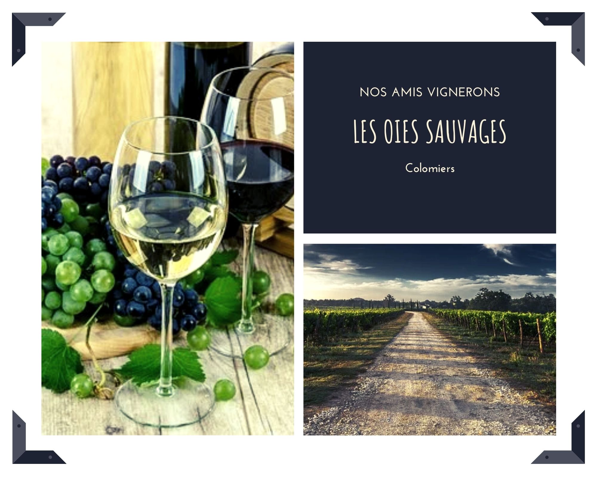 Les Vignerons de Saint Sardos